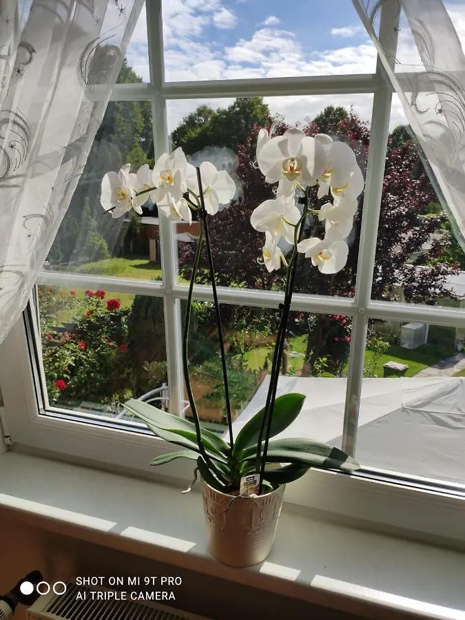 Blumen Apartment Hamburg